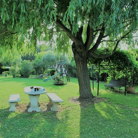 Gites Maisons De Vacances Domaine La Chamade Карпантра Экстерьер фото